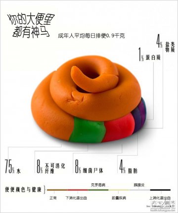 看“便”知健康：你的便便里都有什么
