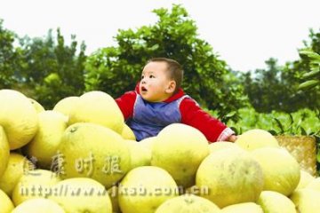 柚子：糖尿病患者的理想食品