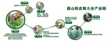深山铁皮枫斗—保健品行业首家实现产品质量可追溯