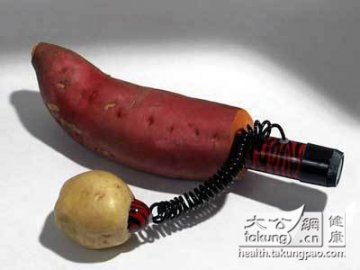 全球最有创意的自制情趣玩具