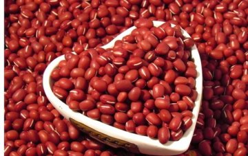 毛豆是膳食纤维之王 夏天必吃6种豆类食物