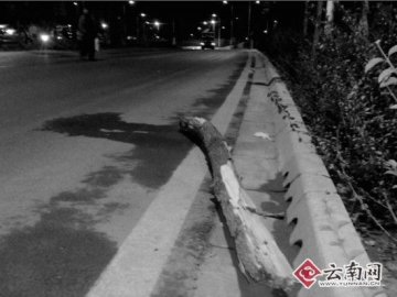 女护士一天参与多台手术疲劳驾驶撞断路边大树