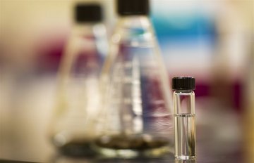 两种微生物“相互合作” 生物燃料产量或将提高