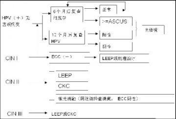 宫颈癌早筛路径图解