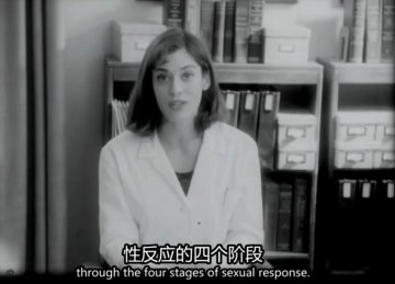 性反应的四个阶段