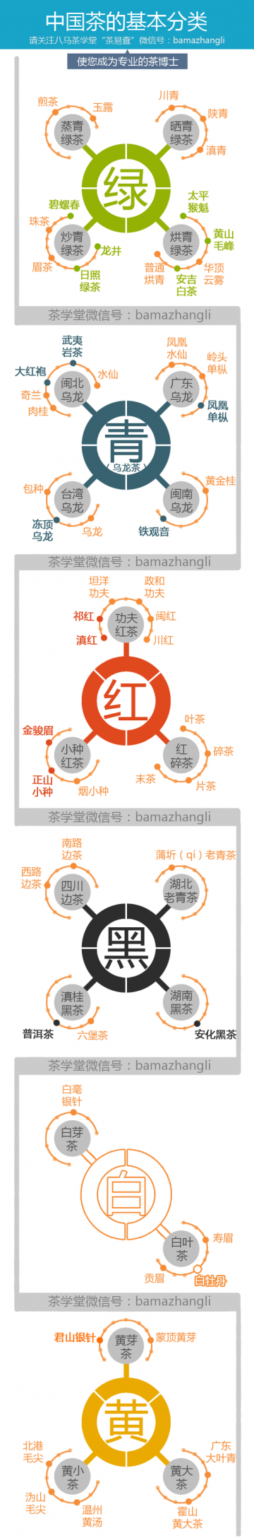 信息图：中国茶的基本分类