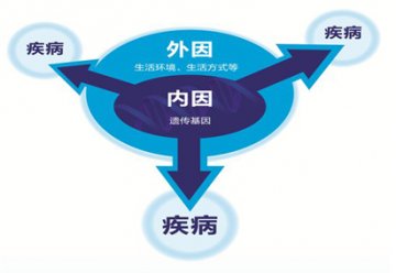 基因与健康的关系