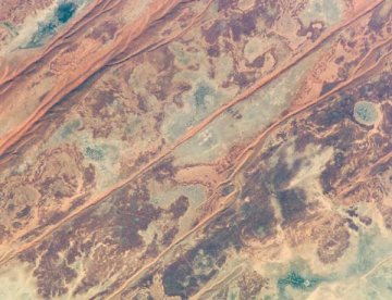 科学家发现类似火星的湖泊有微生物繁衍