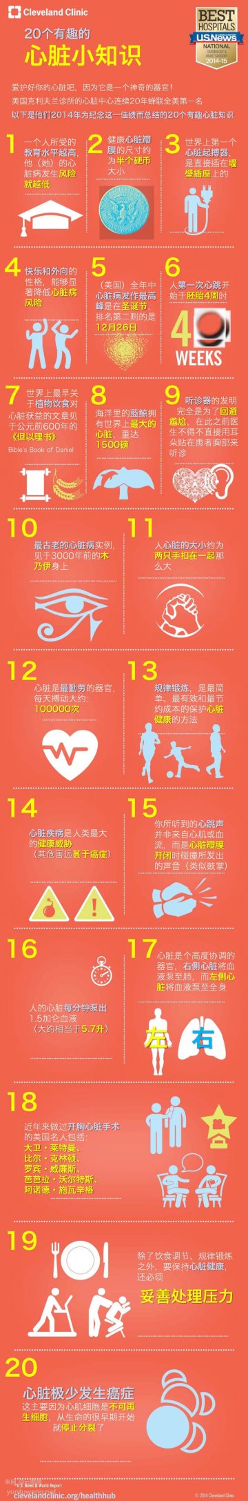 信息图：神奇的心脏