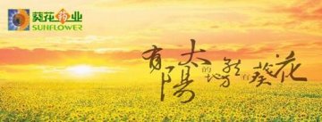 葵花康宝 探索儿童健康行业新思路