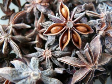 11种奇妙化学物质：八角可合成禽流感药物