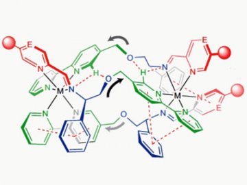 人工抗癌分子能数分钟完成自组装