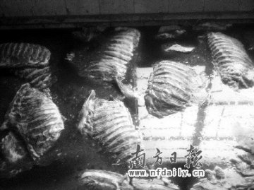 死猪肉熏制一晚变光亮腊肉 每天1吨流入市场