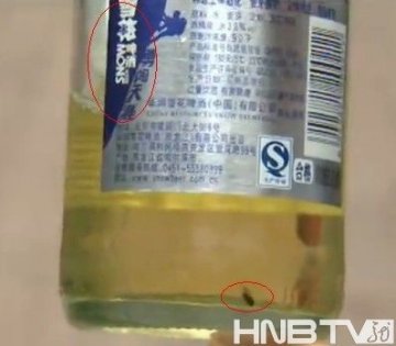 雪花勇闯天涯啤酒惊现死苍蝇 厂家拒道歉