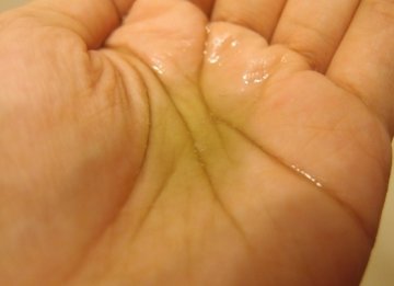 闻气味