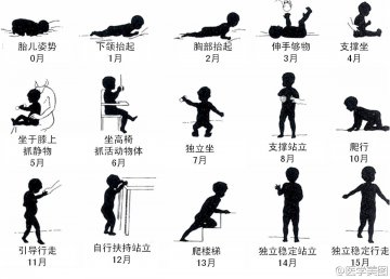 信息图：婴儿发育图