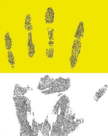 指纹揭示你一生命运