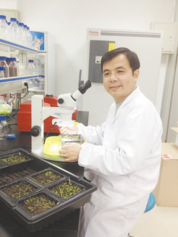 吴刚：分子层面调控水稻生长