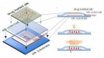 可溶解电子植入物可用于治疗金黄色葡萄球菌感染