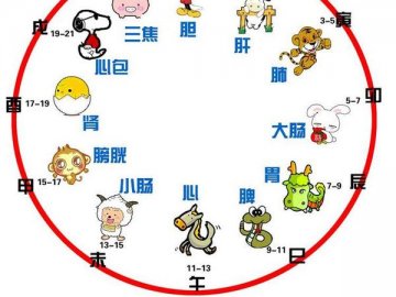 军医详解十二时辰如何养生（二）
