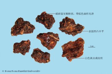 没药（Moyao）中药材鉴别照片