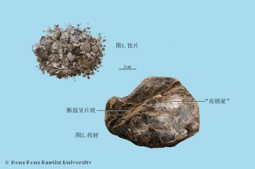 青礞石（Qingmengshi）中药材鉴别相册