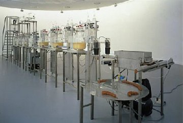 科学奇迹 十大不思议的人造器官
