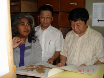 吴刚副局长率团出访苏里南、巴西