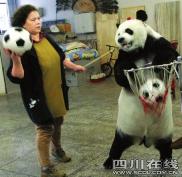男子往树上抹鼻涕被电倒