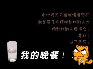 肉肉你走吧~我不爱你了！