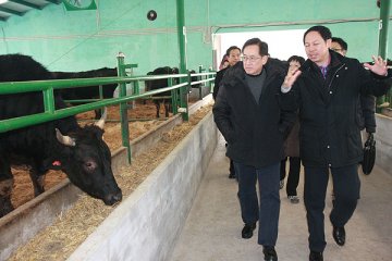 进口内地冰鲜牛肉接受申请