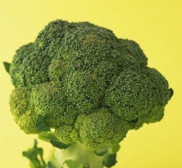 九大伤胃食物排行榜
