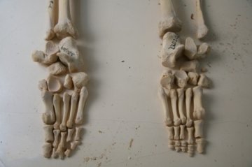 探访“人骨仓库”