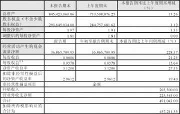 西南药业股份有限公司2005年第一季度报告（节录）