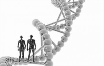 中国科学报：破解“人体明胶”流言