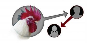 江苏发现H7N9有限人传人证据 病例为一对父女