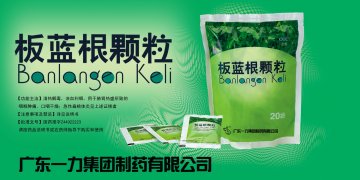 板蓝根颗粒-(国药准字Z44022223)精美广告图欣赏