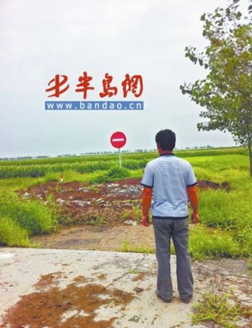 40头奶牛飞机撒药后死残 政府补偿养殖户58万