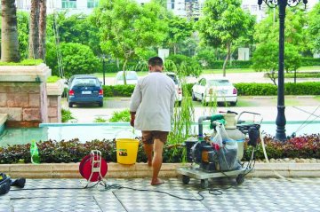 东南亚登革热高发粤警示