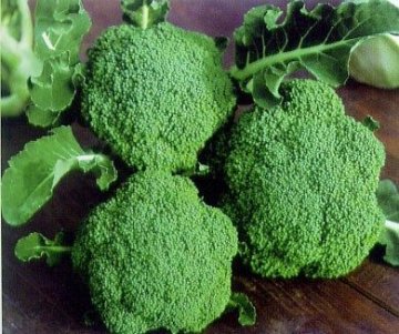 营养师不外传的25种抗老食物