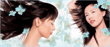 满肩“雪花”春日怎消融