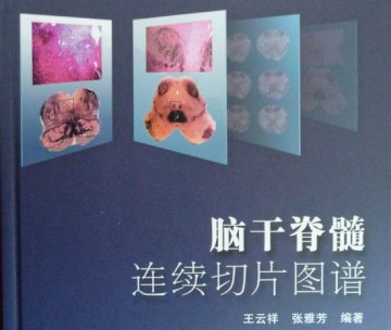 王云祥张雅芳编著的《脑干脊髓连续切片谱》由人民卫生出版社出版