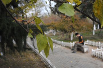 记录90后艾滋病大学生的一天