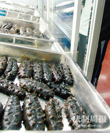 业内人士自曝海参“增肥”秘诀 补品变毒品