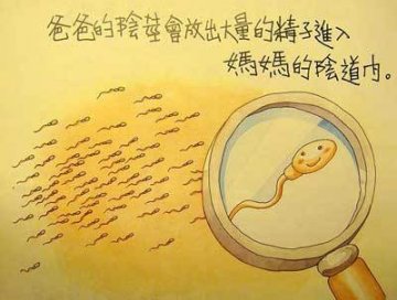 香港最受欢迎的儿童性教育图片