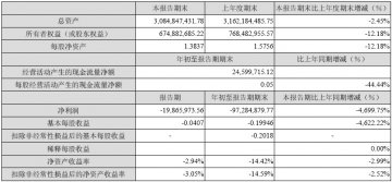 华立药业2007年第三季度报告（节录）