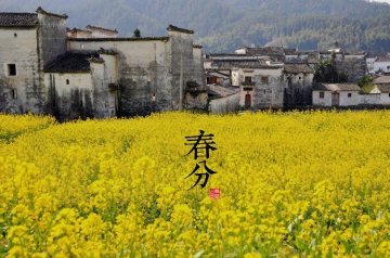 图说二十四节气 美到令人窒息