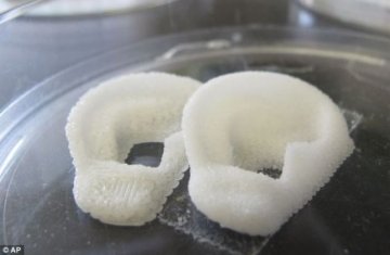 科学家打印整个身体器官获突破