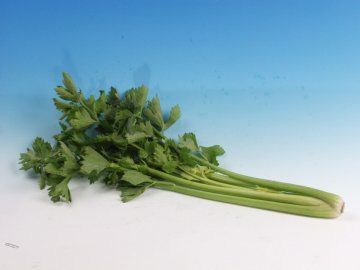 超刮油的15种神奇食物
