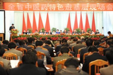 王国强出席甘肃省中医药特色进基层现场会